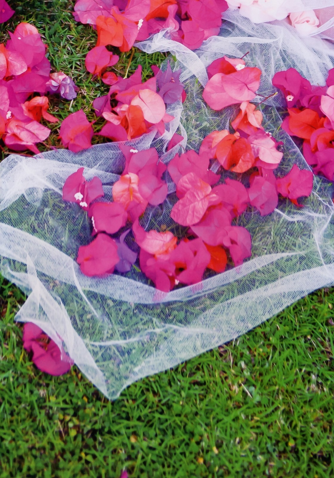 [PB写真集] Shizuka Nakamura 中村静香 HUG ハグ